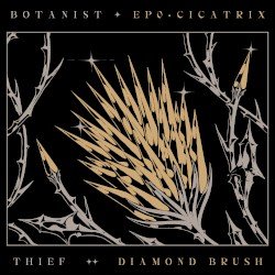 EP0: Cicatrix / Diamond Brush Cover