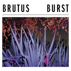 Burst Cover