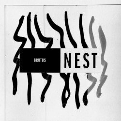 Nest Cover
