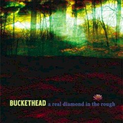 A Real Diamond in the Rough Cover