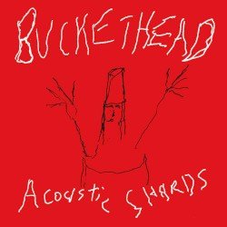 Acoustic Shards Cover
