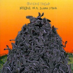Needle in a Slunk Stack Cover