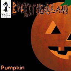 Pumpkin Cover