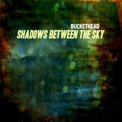 Shadows Between the Sky no drums version Cover