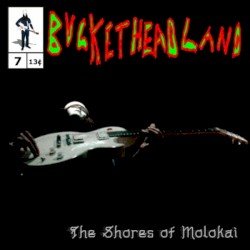 The Shores of Molokai Cover