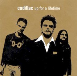 Up for a Lifetime Cover