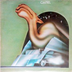 Camel Cover