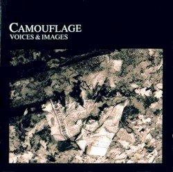 Voices & Images Cover
