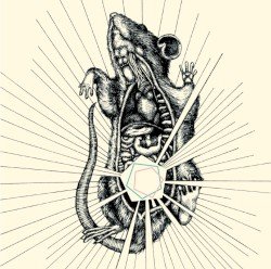 River, Bear Your Bones Cover