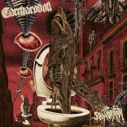 Sbhorror Cover
