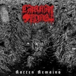 Rotten Remains Cover
