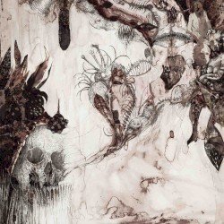 Secular Flesh Cover