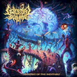Observers of The Inevitable Cover