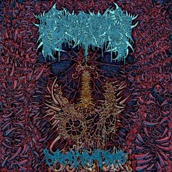 Decrepit Flesh Relic Cover