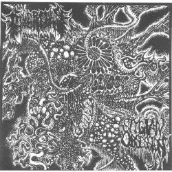 Heralds of Affliction Cover
