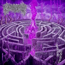 Maze Envy Cover