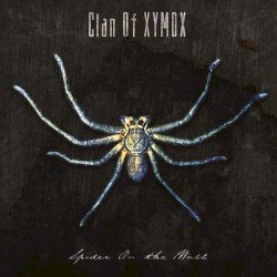 Spider on the Wall Cover