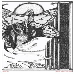 Clipped Beaks / Silk Panic Cover