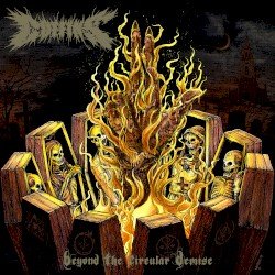 Beyond the Circular Demise Cover