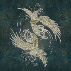 Sacred Cover