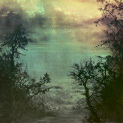 Split Cover