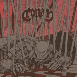 Evidence of Immortality Cover