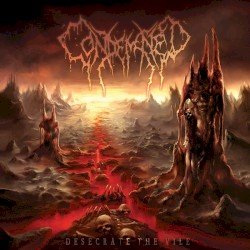 Desecrate the Vile Cover