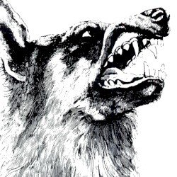 I, Vigilante Cover