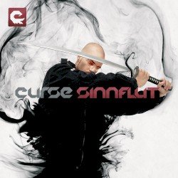 Sinnflut Cover