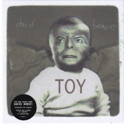 Toy Cover