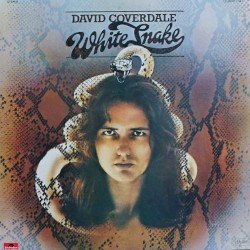 Whitesnake Cover