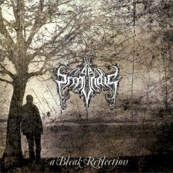 A Bleak Reflection Cover