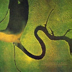 The Serpent’s Egg Cover