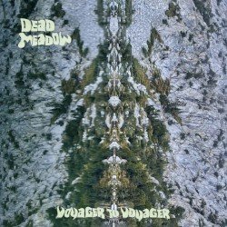 Voyager to Voyager Cover