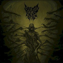 Passages Into Deformity Cover