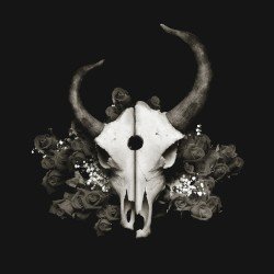 Summer of Darkness Cover