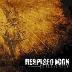 The Healing Process Cover