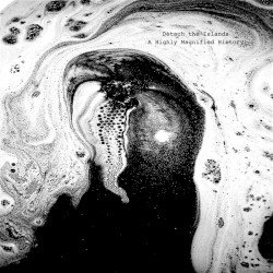 A Highly Magnified History Cover