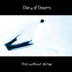 Bird Without Wings Cover