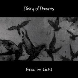 Grau im Licht Cover