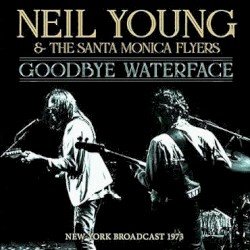 Goodbye Waterface Cover