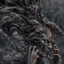 Into Despair Cover