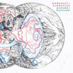 Ascend / Descend Cover