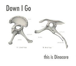 This Is Dinocore Cover