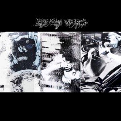 D.Y.I.N.G. W.I.S.H. Cover