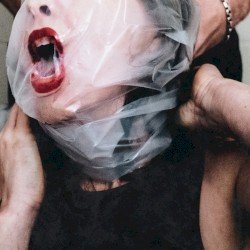 FLESH STAYS TOGETHER Cover