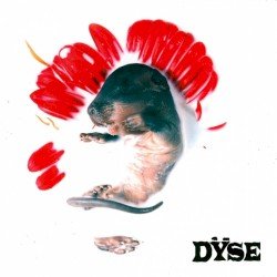 Dÿse Cover
