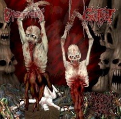 Excruciatingly Euphoric Torment Cover