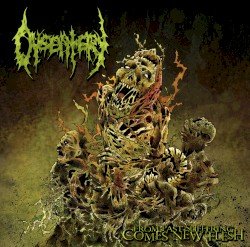 From Past Suffering Comes New Flesh Cover
