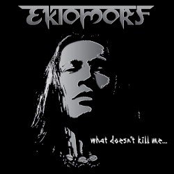 What Doesn’t Kill Me… Cover